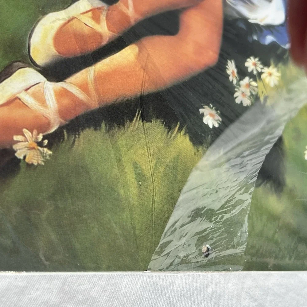 Turner Licensing, Pin Up 2019 Wall Calendar, 12'' X 12'', 12-Month Calendar NEW